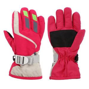 Ski Gloves