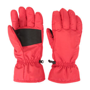Ski Gloves