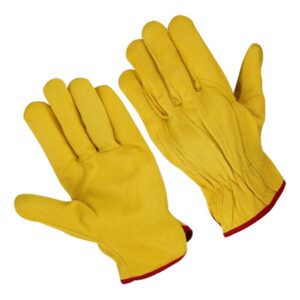 Driving Gloves